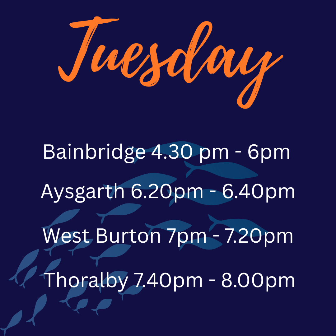 Villages on a Tuesday night